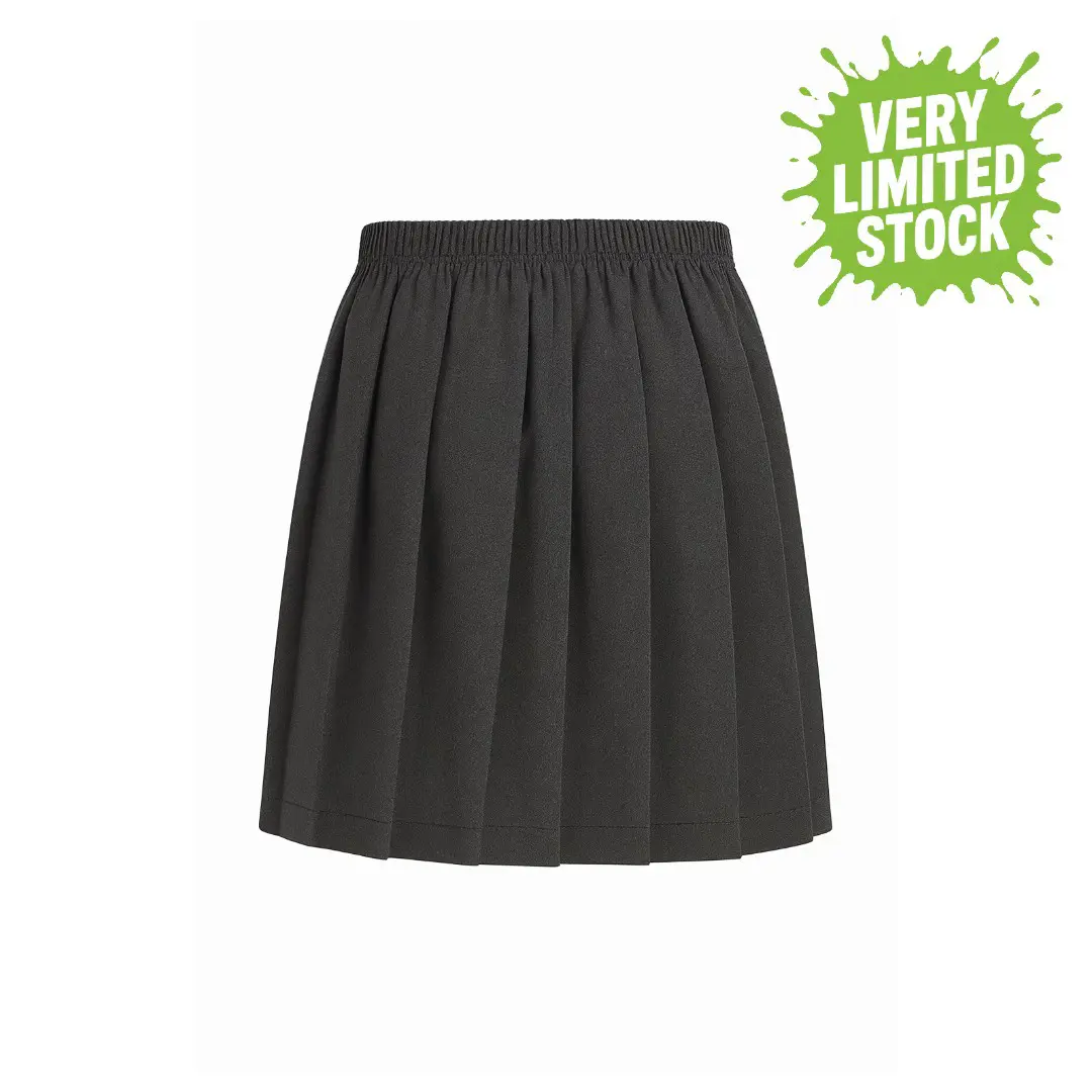 LITTLE CLASSMATES PLEATED SKIRT